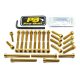 Pro Bolt Bolt Kt Engine Kaw Gold