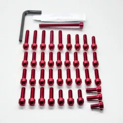 Kit șuruburi carenaj Pro Bolt EKA420R