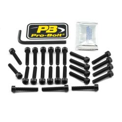 Pro Bolt Bolt Kt Engine Kaw Black