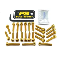 Kit șuruburi carenaj Pro Bolt EKA430G