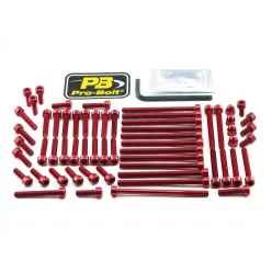 Kit șuruburi carenaj Pro Bolt EKTM100R