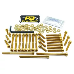 Kit șuruburi carenaj Pro Bolt EKTM510G