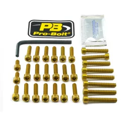 Kit șuruburi carenaj Pro Bolt EOAP210G