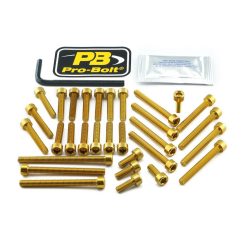 Pro Bolt Bolt Kt Engine Suz Gold