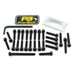 Kit șuruburi carenaj Pro Bolt ESU161BK
