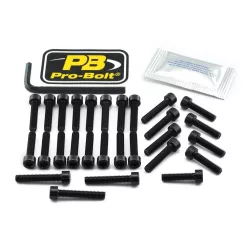 Kit șuruburi carenaj Pro Bolt ESU250BK