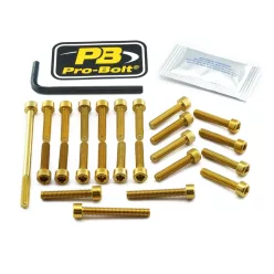 Kit șuruburi carenaj Pro Bolt ESU330G