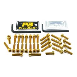 Kit șuruburi carenaj Pro Bolt EYA283G