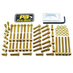 Kit șuruburi carenaj Pro Bolt EYA446G