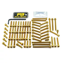 Kit șuruburi carenaj Pro Bolt EYA500G