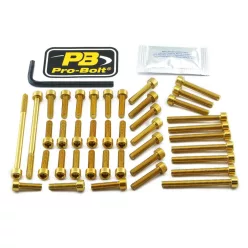 Kit șuruburi carenaj Pro Bolt EYA510G