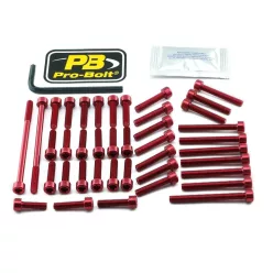 Kit șuruburi carenaj Pro Bolt EYA510R