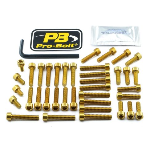 Pro Bolt Bolt Kt Eng Yam Gd