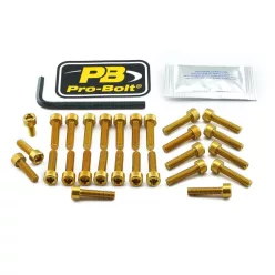 Kit șuruburi carenaj Pro Bolt EYA650G