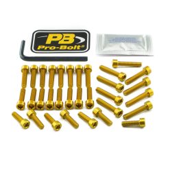Kit șuruburi carenaj Pro Bolt EYA660G