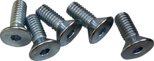 Screws F Rtr 5/16-18Cs