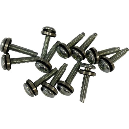 SCREW EFI MNT(1331) 12PK