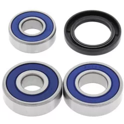 Kit rulment roată All Balls 25-1087