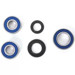 Kit rulment roată All Balls 25-1110