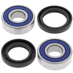 Kit rulment roată All Balls 25-1221