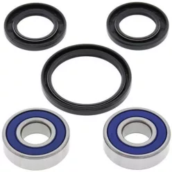 Kit rulment roată All Balls 25-1222