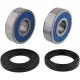 Kit rulment roată All Balls 25-1333