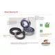 Kit rulment roată All Balls 25-1472