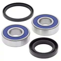 Kit rulment roată All Balls 25-1601