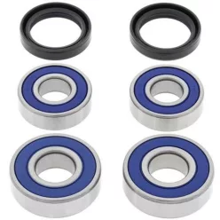 Kit rulment roată All Balls 25-1646