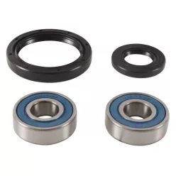 Kit rulment roată All Balls 25-1746