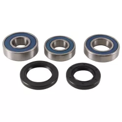 Kit rulment roată All Balls 25-1754