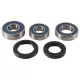 Kit rulment roată All Balls 25-1754