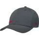 Sapca Alpinestars Points gri