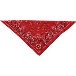 ZAN-HEADGEAR-Paisley-Cotton-Bandana---Red-B003