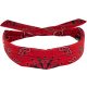 ZAN-HEADGEAR-COOLDANNA-POLY-RD-PAISLEY-DP106