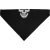 Bandanna-Sportflex-Upf50+-Series-Black-&-White-Skull--Bl002