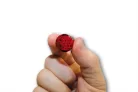 Stop Highsider Pin LED încastrat, Ø 20 mm, dispersor roșu, omologat E (bucată)