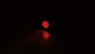 Stop Highsider Proton LED, negru/fumuriu, omologat E (bucată)