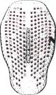 Protecție Spate Alpinestars Nucleon Plasma negru/rosu