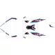 Uniracing-Decal-Kit-Bmw-F800Gs-Adv