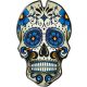 TANKPAD-BLUE-SKULL-CGSKULL3P