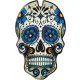 TANKPAD-BLUE-SKULL-CGSKULL3P