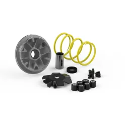 Variator Malossi MULTIVAR Honda SH 50 / Shadow 50 2T 517117