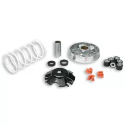   Variator Malossi MULTIVAR 2000 pentru scutere Piaggio 50 2T 519019