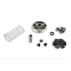   Variator Malossi MULTIVAR 2000 pentru scutere 50 4T Vespa Primavera/Piaggio Liberty 5111597