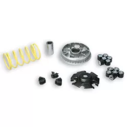   Variator Malossi MULTIVAR 2000 MBK Doodo/Cityliner 125-150, Benelli Velvet, Malaguti Madison 4T 5113134