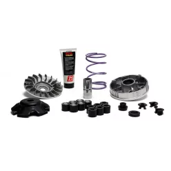   Variator Malossi MULTIVAR MHR TEAM 2 Ø99,5mm Piaggio/Vespa/Aprilia 50 2T 5118238