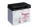 Baterie moto Yuasa 52515 convențională fără electrolit, 12V 25Ah