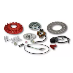   Aprindere completă Malossi VESPower con Ø 20 mm, volantă 1,2 kg, Vespa PX 125/150 5517175