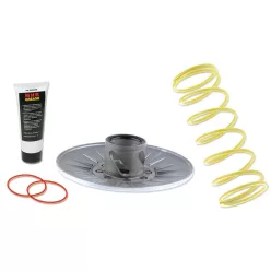   Corector de cuplu Malossi TORQUE DRIVER Honda Forza 250 6111964